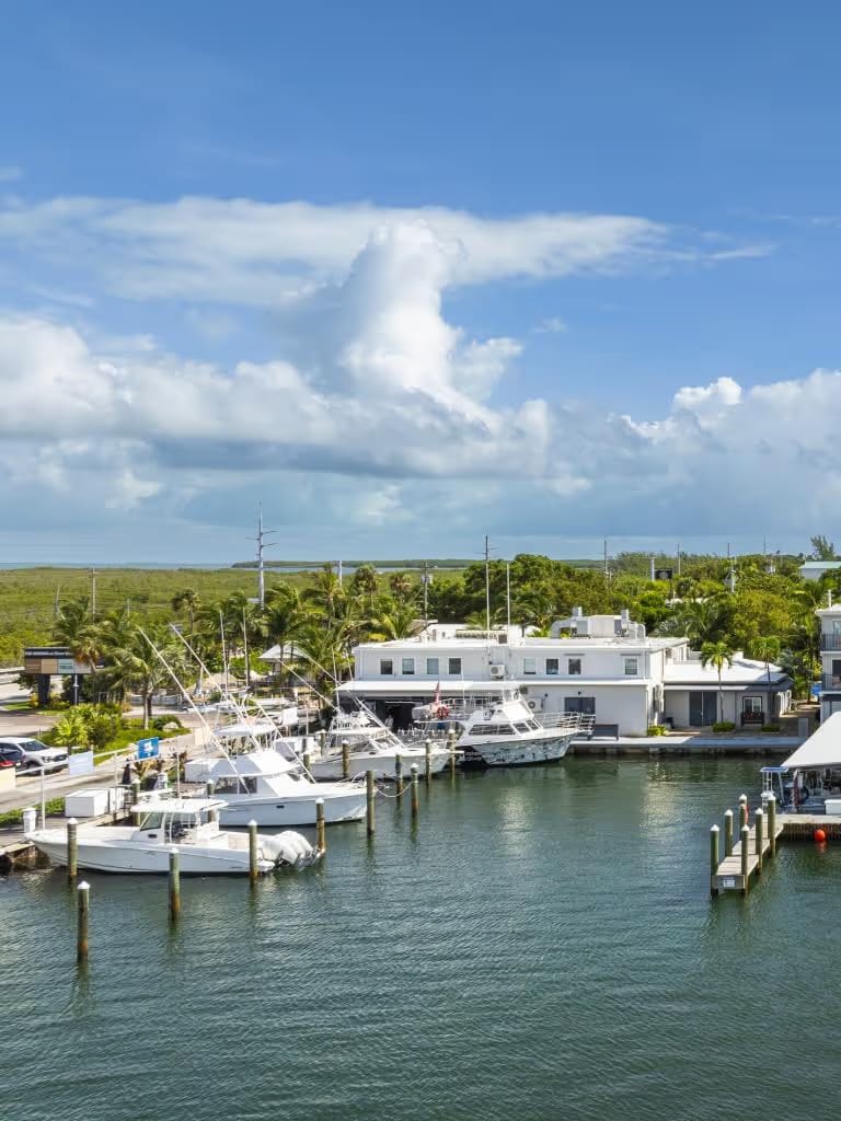 Three Waters Marina with several white boats docked next to a white building surrounded by palm trees under a blue sky with scattered clouds.
